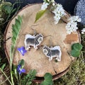 Ruskea suomenlapinkoira - korvakorut