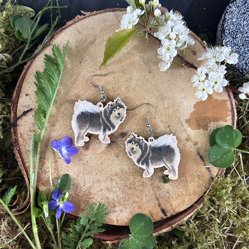 Ruskea suomenlapinkoira - korvakorut